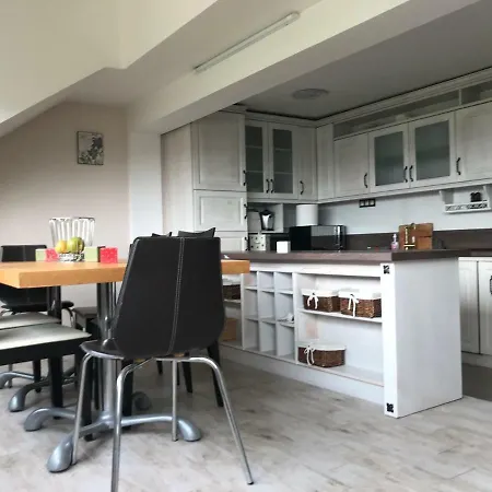 Apartment Zdravets