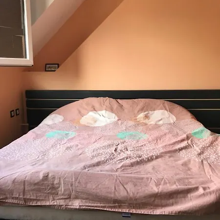 Apartment Zdravets *