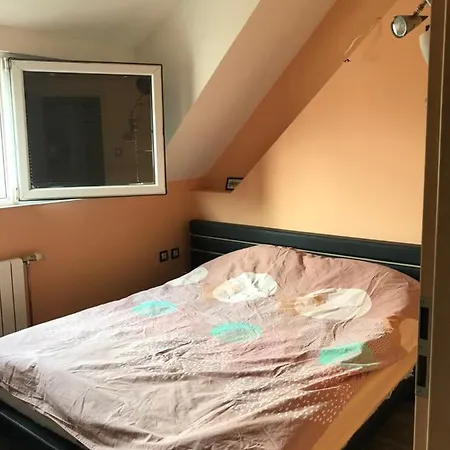 Zdravets Apartment *
